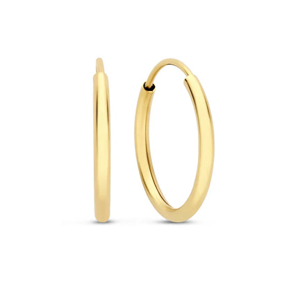 Emelirene | Øreringe 14k guld